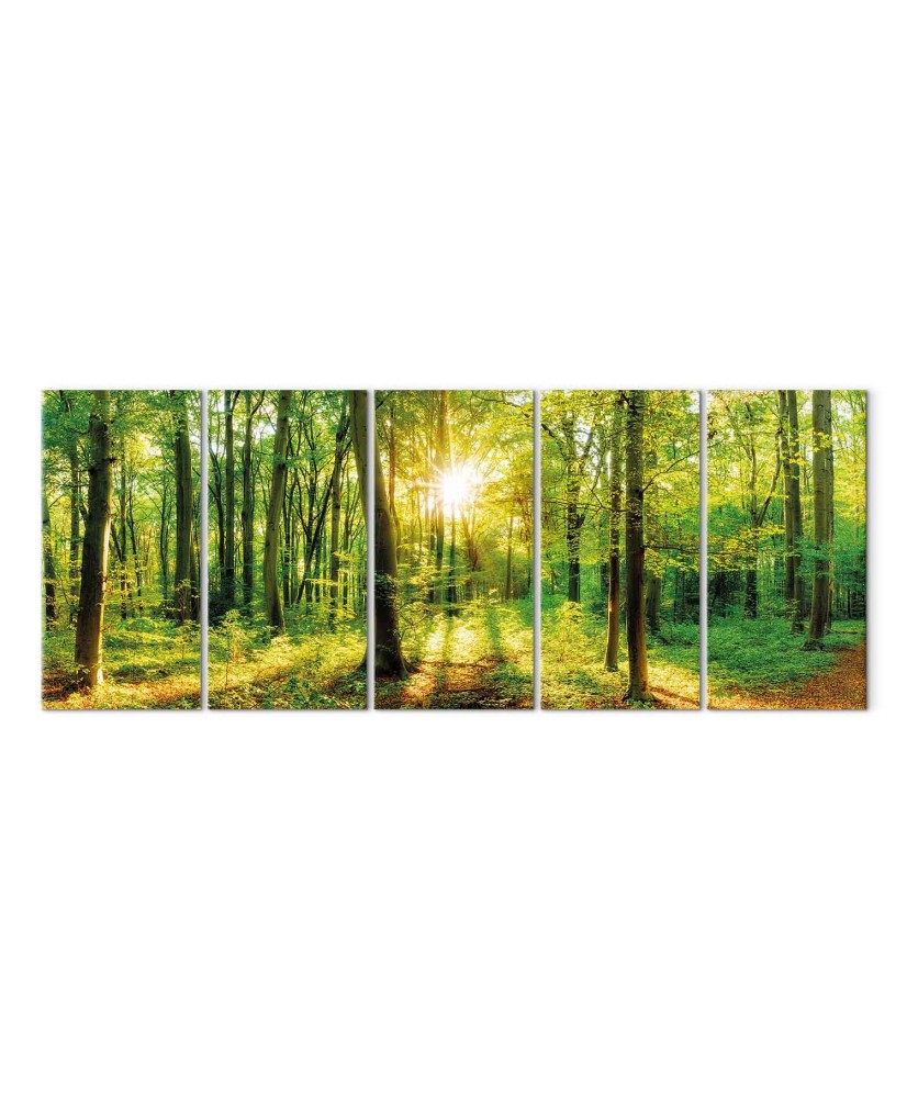 Paveikslas Užburtas miškas