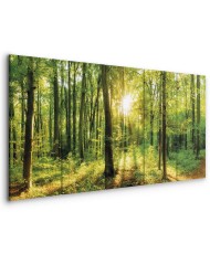 Paveikslas Užburtas miškas