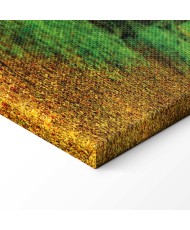 Paveikslas Užburtas miškas