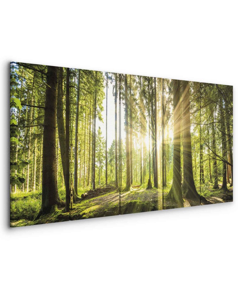 Paveikslas Saulės šviesa