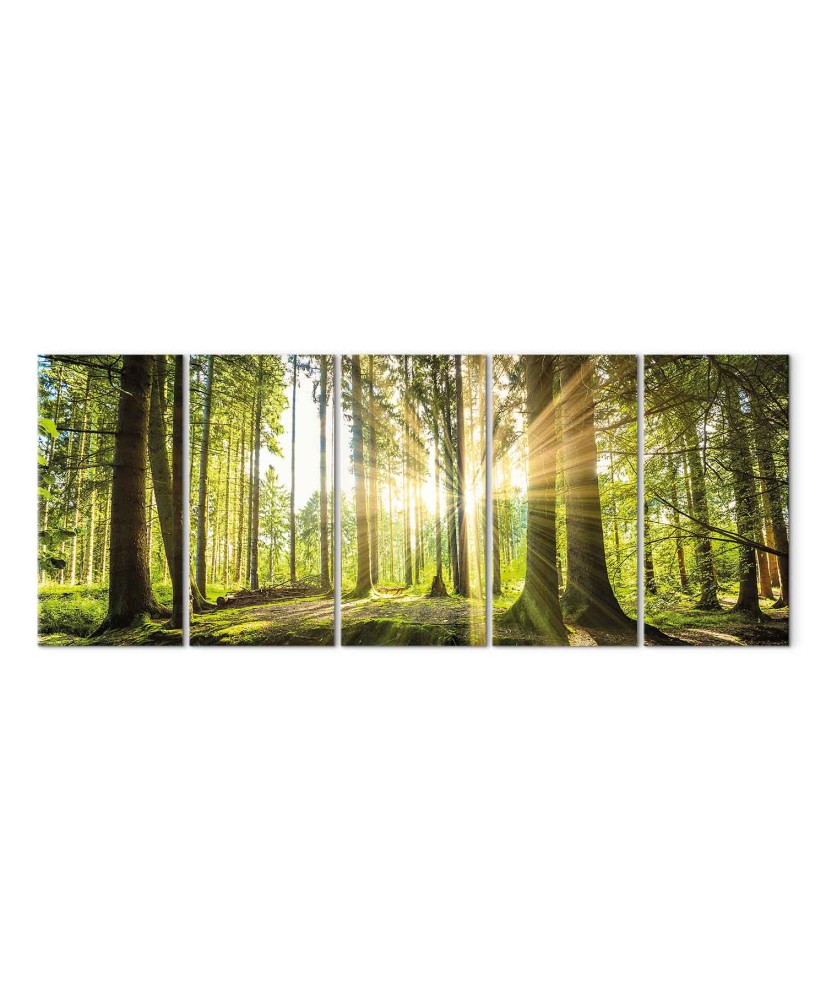 Paveikslas Saulės šviesa