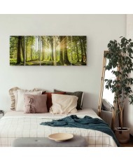 Paveikslas Saulės šviesa