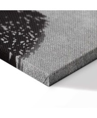 Paveikslas Beždžionė su bananu