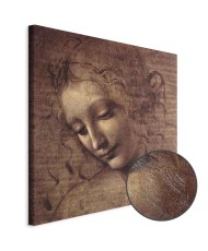 Paveikslas Leonardo da Vinci - Jaunos moters galva (Leda)