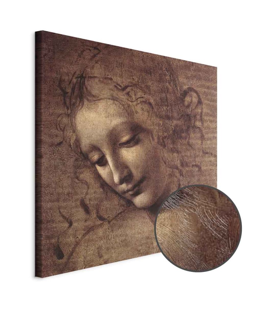 Paveikslas Leonardo da Vinci - Jaunos moters galva (Leda)