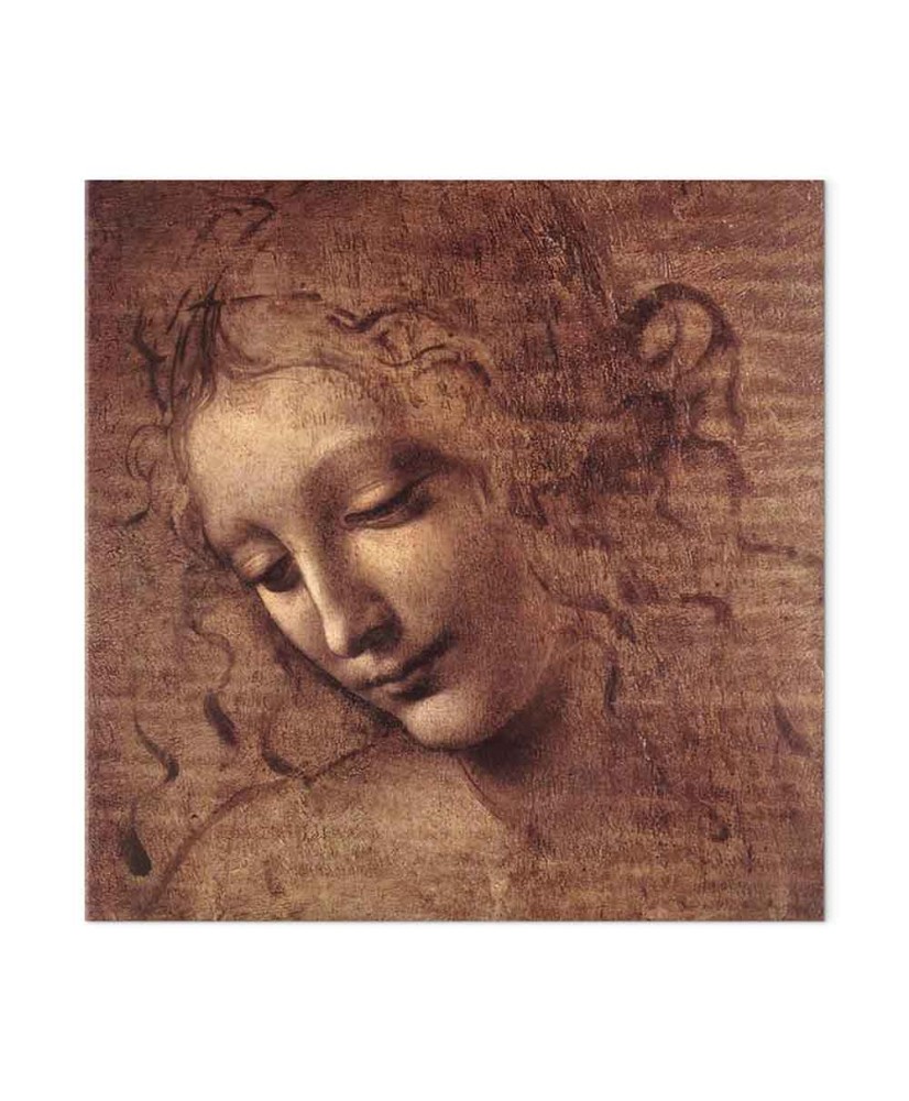 Paveikslas Leonardo da Vinci - Jaunos moters galva (Leda)