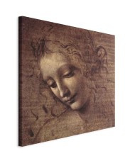 Paveikslas Leonardo da Vinci - Jaunos moters galva (Leda)