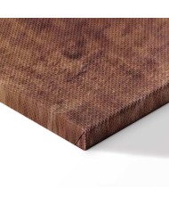 Paveikslas Leonardo da Vinci - Jaunos moters galva (Leda)