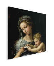 Paveikslas Rafael Santi - Rožės Madona