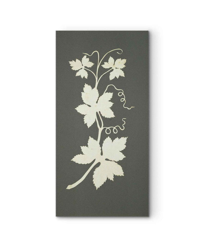 Paveikslas Philipp Otto Runge - Apynio šakelė