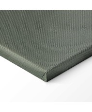 Paveikslas Philipp Otto Runge - Apynio šakelė