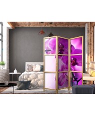 Japoniška kambario pertvara - Violetinės orchidėjos I