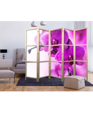 Japoniška kambario pertvara - Violetinės orchidėjos II
