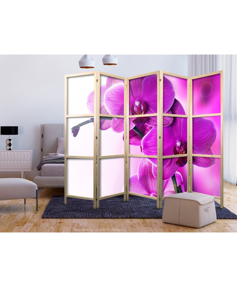 Japoniška kambario pertvara - Violetinės orchidėjos II