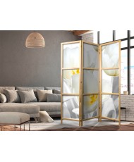 Japoniška kambario pertvara - Švytinčios tulpės I