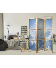 Japoniška kambario pertvara - Dangiška ramybė: šilti saulės spinduliai