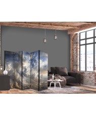 Pertvara - Auksiniai atspindžiai debesyse artėjant vakarui - 5 dalių