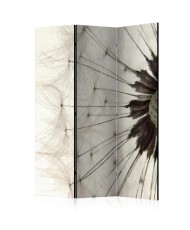 Pertvara  White Dandelion [Room Dividers]