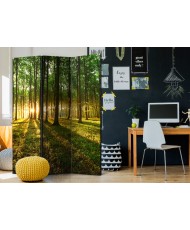 Pertvara  Morning in the Forest [Room Dividers]