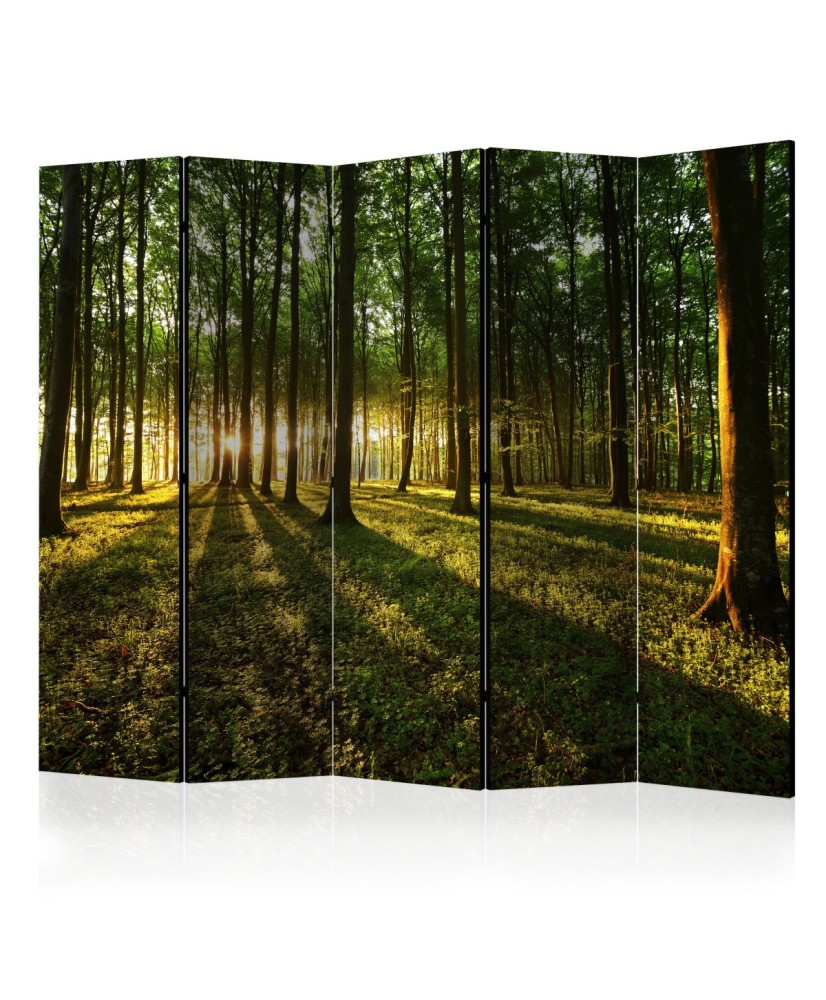 Pertvara  Morning in the Forest II [Room Dividers]