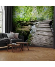 Fototapetai - Miško takas