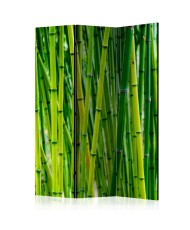 Pertvara  Bamboo Forest [Room Dividers]
