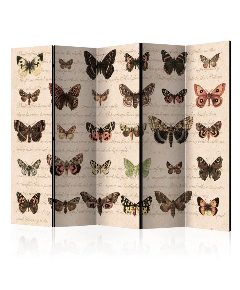 Pertvara  Retro Style Butterflies II [Room Dividers]