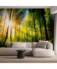 Fototapetai - Miško slėptuvė