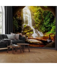 Fototapetai - Miško...