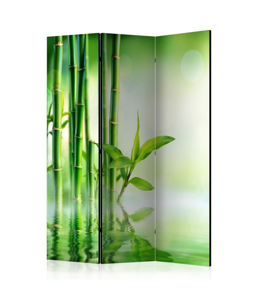 Pertvara  Green Bamboo [Room Dividers]