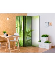 Pertvara  Green Bamboo [Room Dividers]