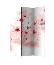 Pertvara  Cherry Blossom [Room Dividers]