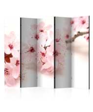 Pertvara   Cherry Blossom II [Room Dividers]