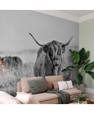 Fototapetai - Škotijos...