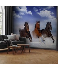 Fototapetai - Žirgai sniege