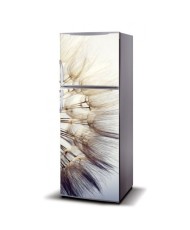 Magnetinis lipdukas ant šaldytuvo