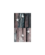 Fototapetas  Stars on Wood