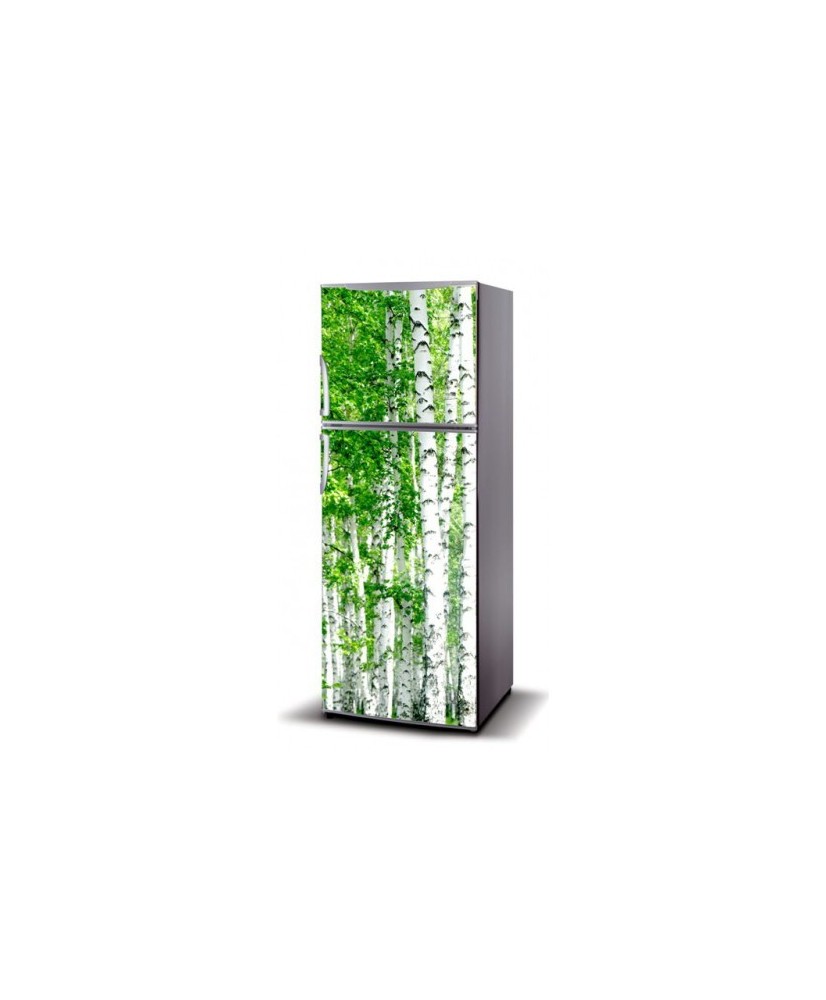 Magnetinis lipdukas ant šaldytuvo