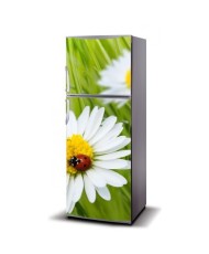 Magnetinis lipdukas ant šaldytuvo