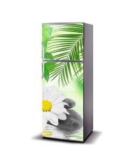 Magnetinis lipdukas ant šaldytuvo