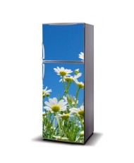 Magnetinis lipdukas ant šaldytuvo