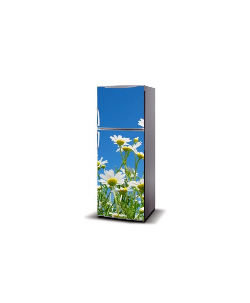 Magnetinis lipdukas ant šaldytuvo