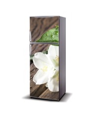 Magnetinis lipdukas ant šaldytuvo