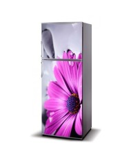 Magnetinis lipdukas ant šaldytuvo