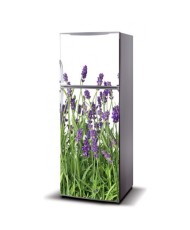 Magnetinis lipdukas ant šaldytuvo