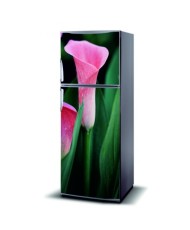 Magnetinis lipdukas ant šaldytuvo