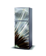 Magnetinis lipdukas ant šaldytuvo