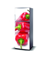 Magnetinis lipdukas ant šaldytuvo