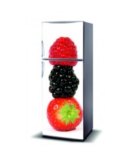 Magnetinis lipdukas ant šaldytuvo