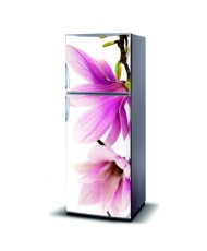 Magnetinis lipdukas ant šaldytuvo